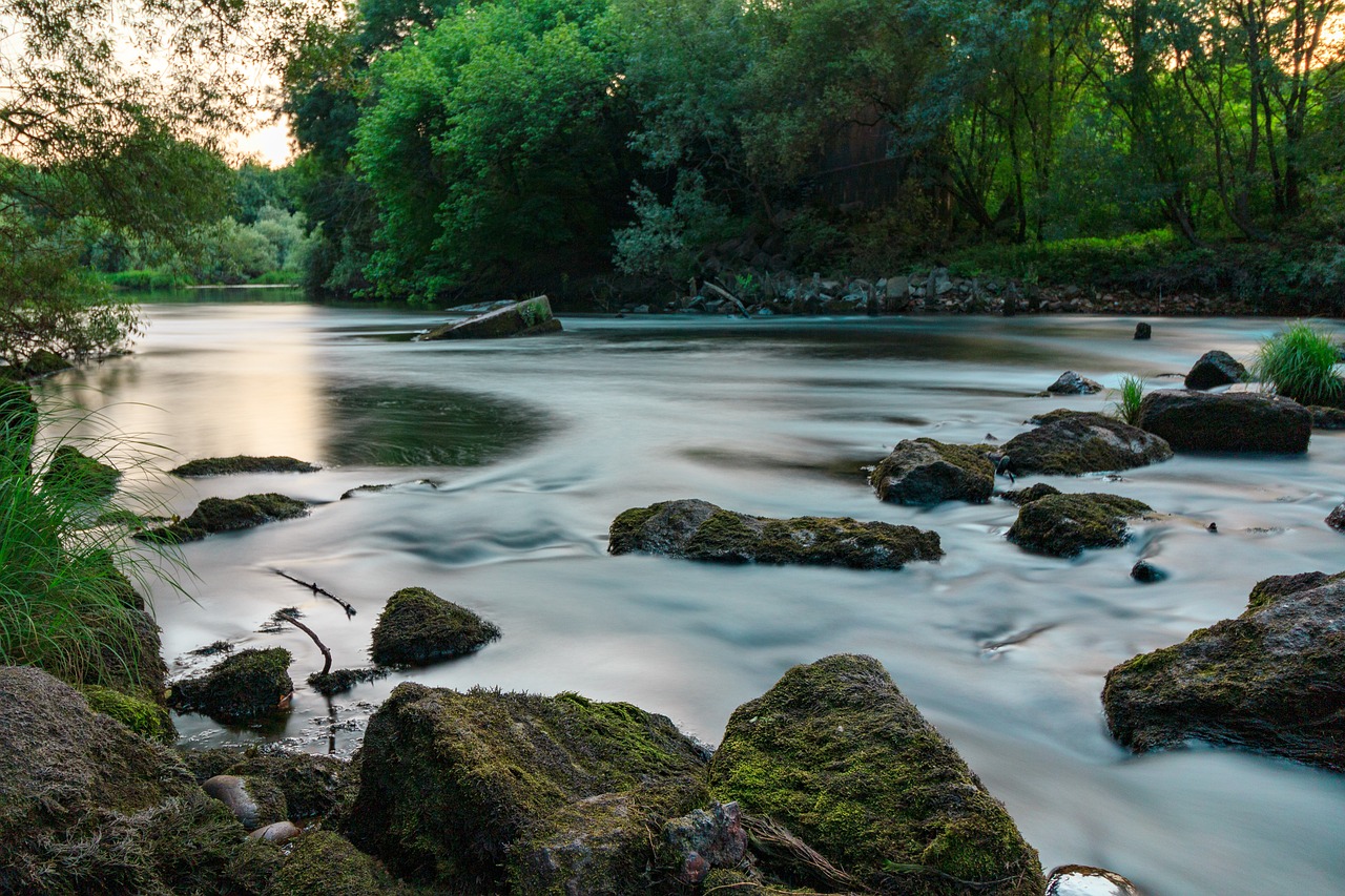 How to Create a Tranquil Meditation Space in Your Backyard